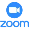 Zoom logo